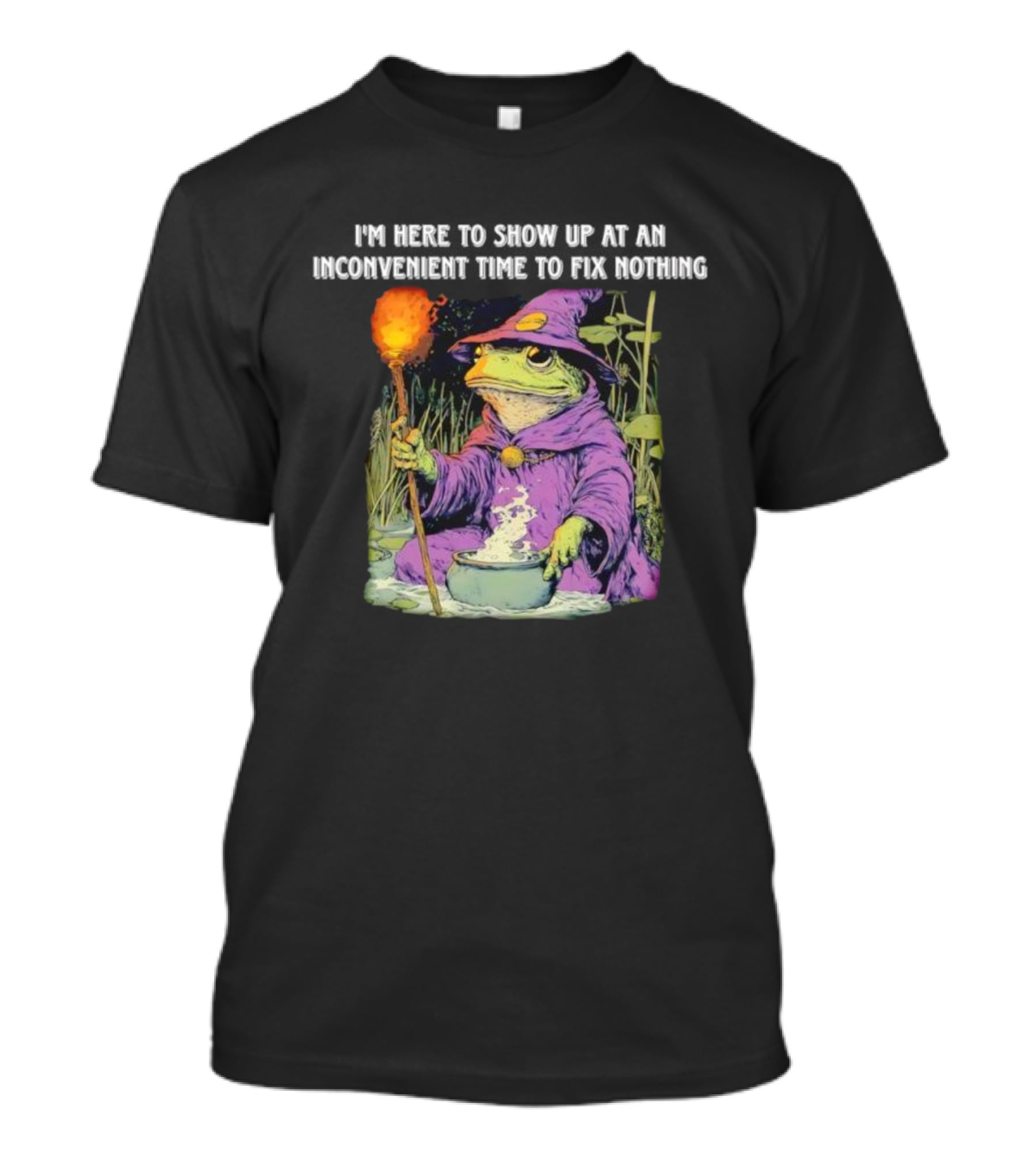 I'm Here To Show Up At An Inconvenient Time To Fix Nothing Frog Wizard T-Shirt
