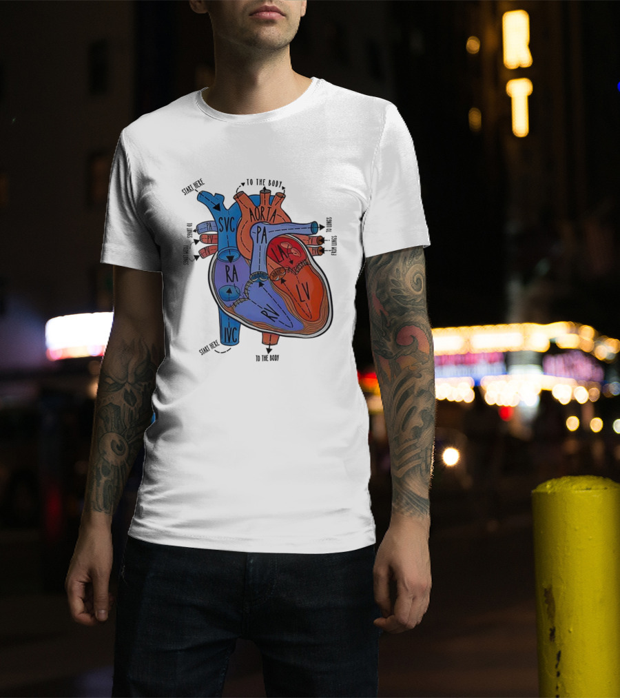 Heart Anatomy Blood Flow SVC RA RV IVC Aorta PA PV LA LV T-Shirt