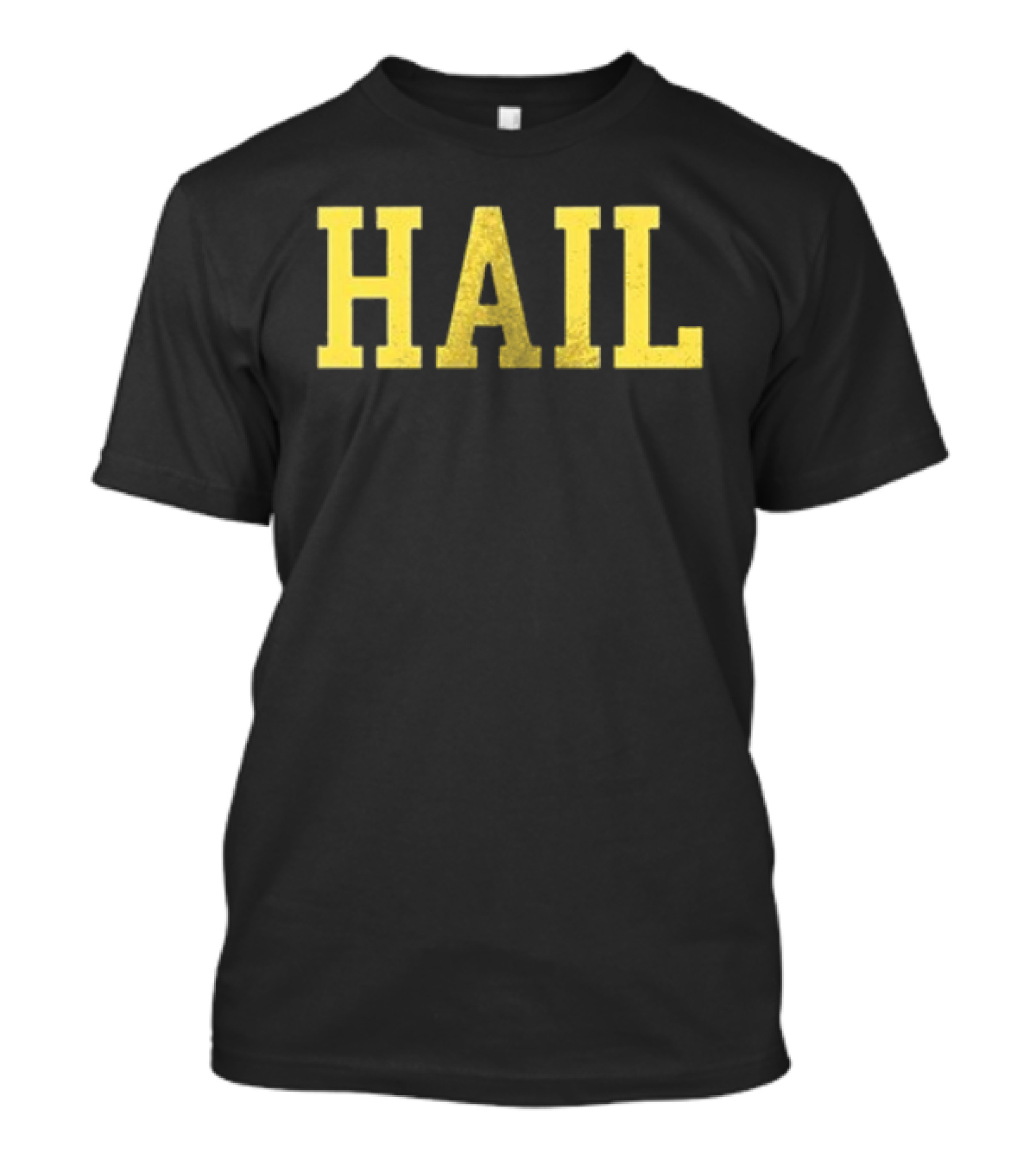 Valiant Michigan Wolverines Football Hail Hail Hail Repeat T-Shirt