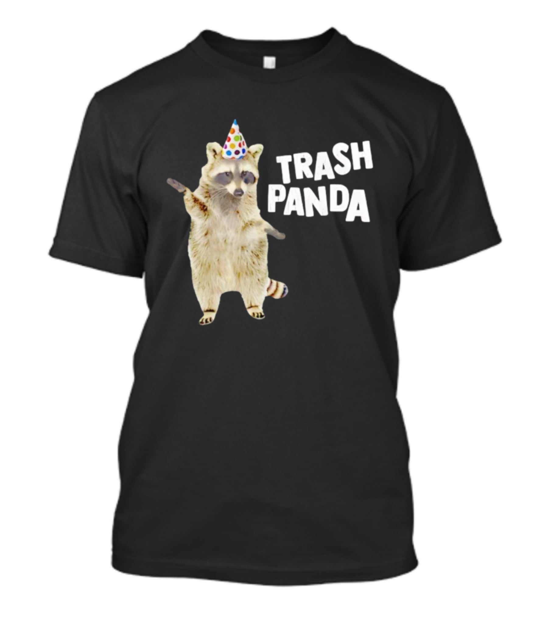 Trash Panda Raccoon Birthday Hat Fun T-Shirt