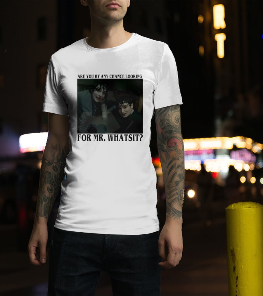 Mike And Will Are You By Any Chance Looking For Mr. Whatsit Stranger 1980s Adventure Fantasy T-Shirt
