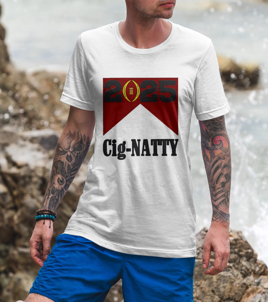 Indiana Hoosiers 2025 Cig Natty Football Banner T-Shirt