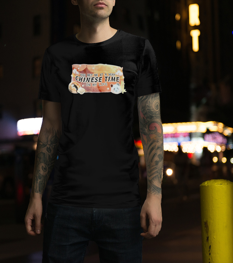 You Met Me At A Very Chinese Time Panda Dumplings Chopsticks Cat Pagoda T-Shirt