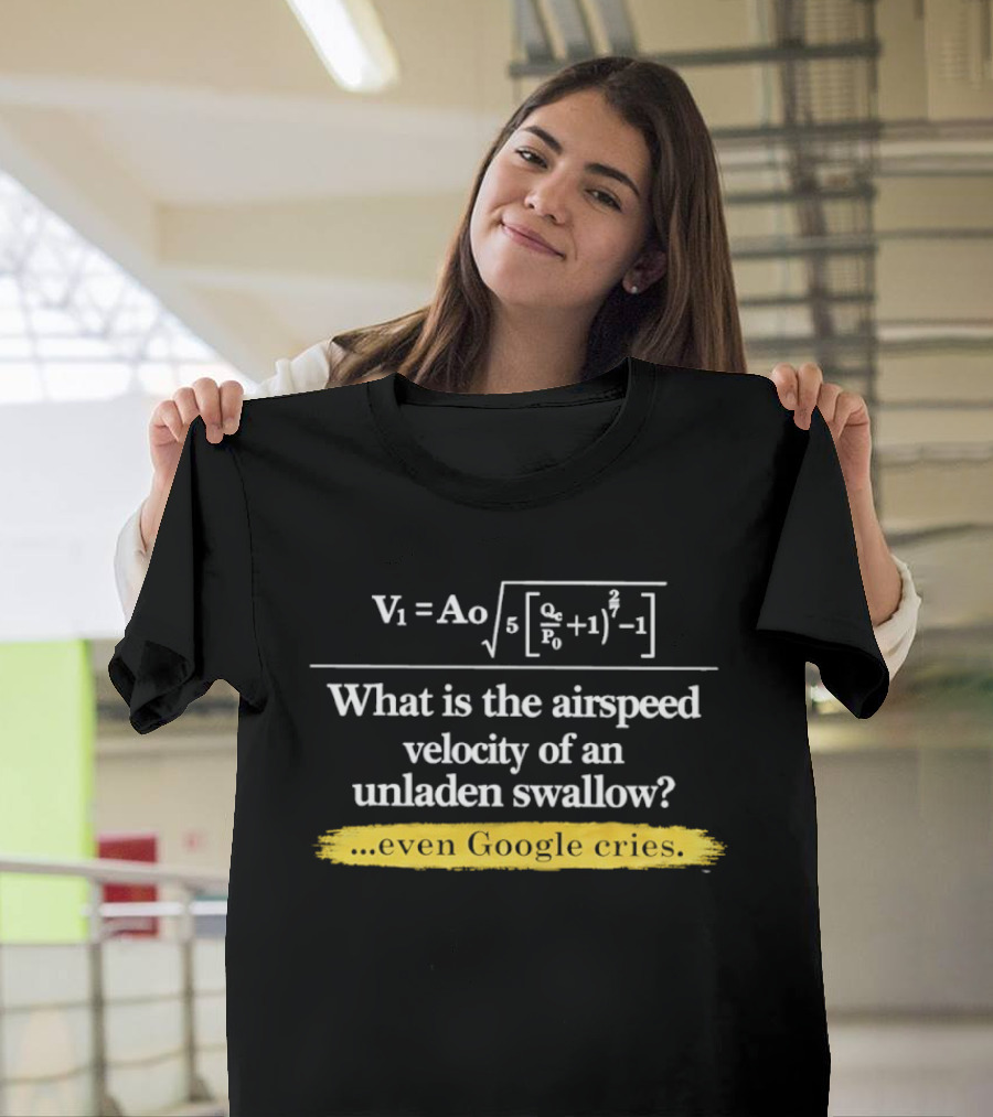 V1 Ao Formula What Is The Airspeed Velocity Of An Unladen Swallow Even Google Cries T-Shirt
