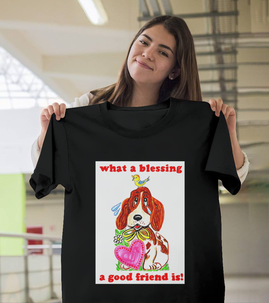 What A Blessing A Good Friend Is Dog And Bird Cartoon T-Shirt
