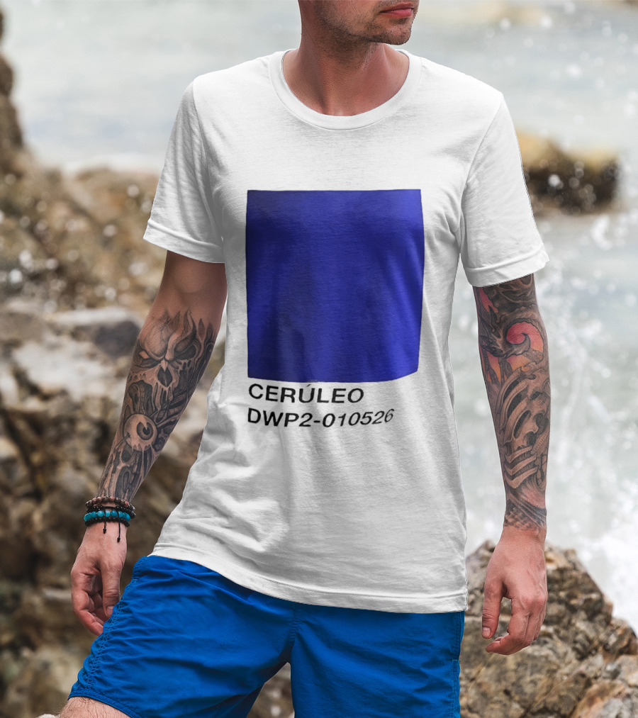 Ceruleo DWP2 010526 T-Shirt