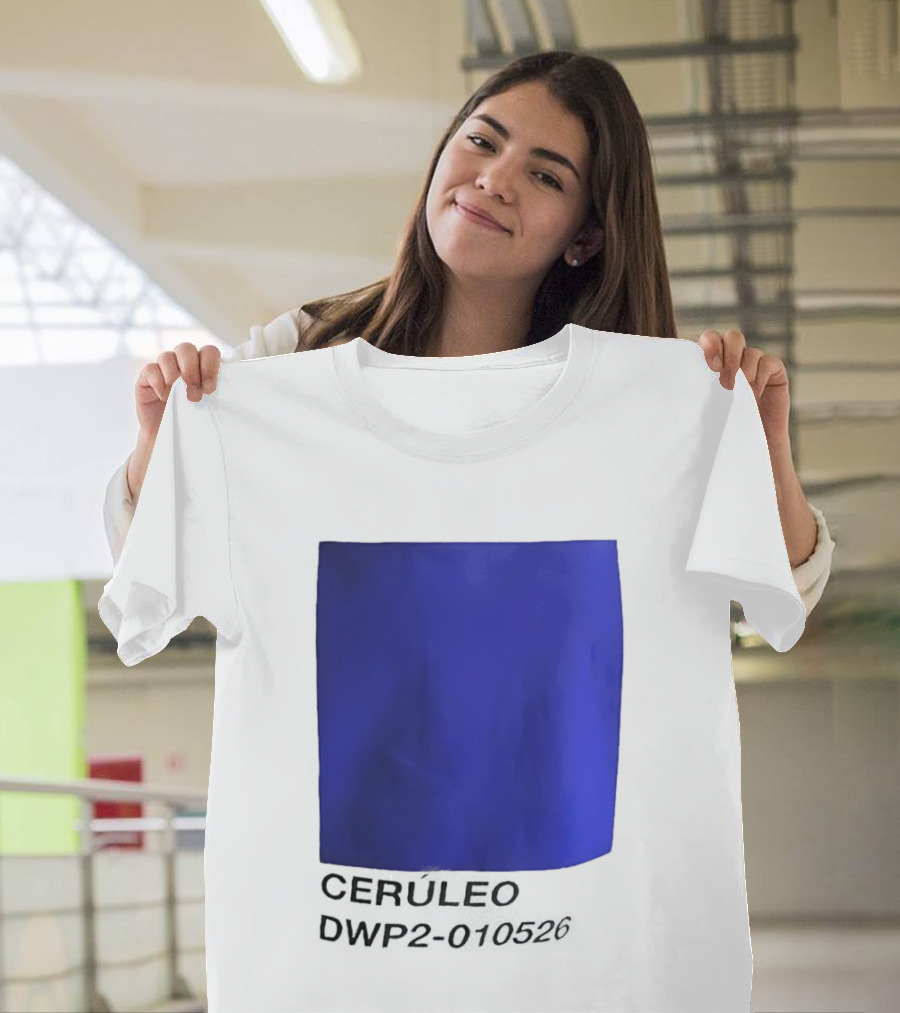 Ceruleo DWP2 010526 T-Shirt
