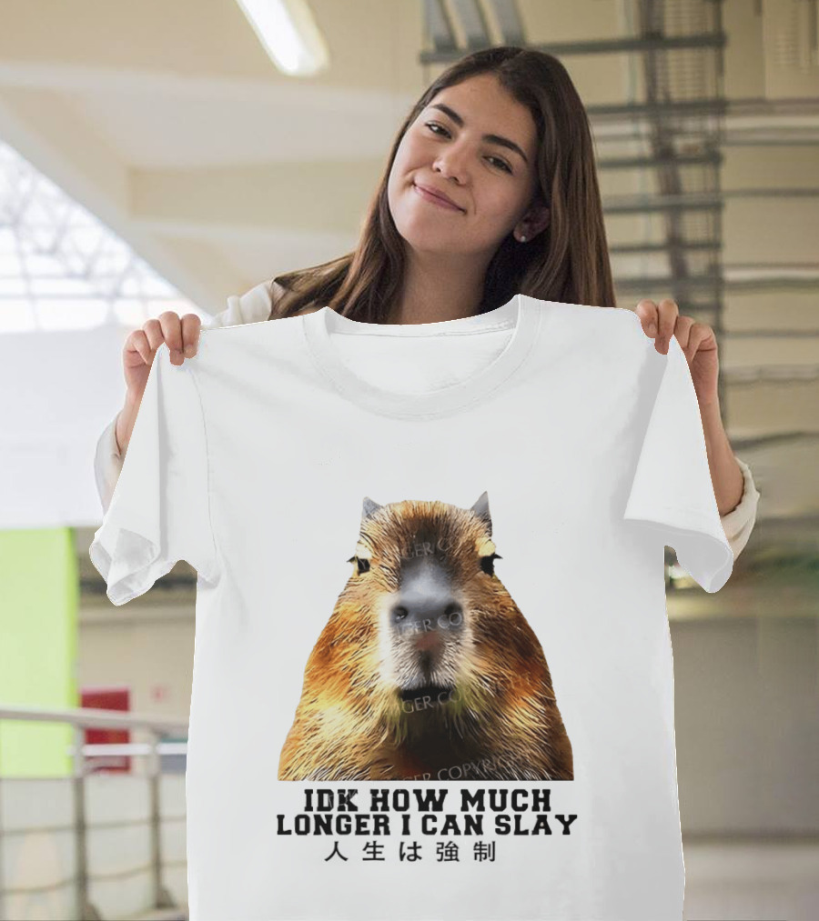 Capybara Idk How Much Longer I Can Slay T-Shirt