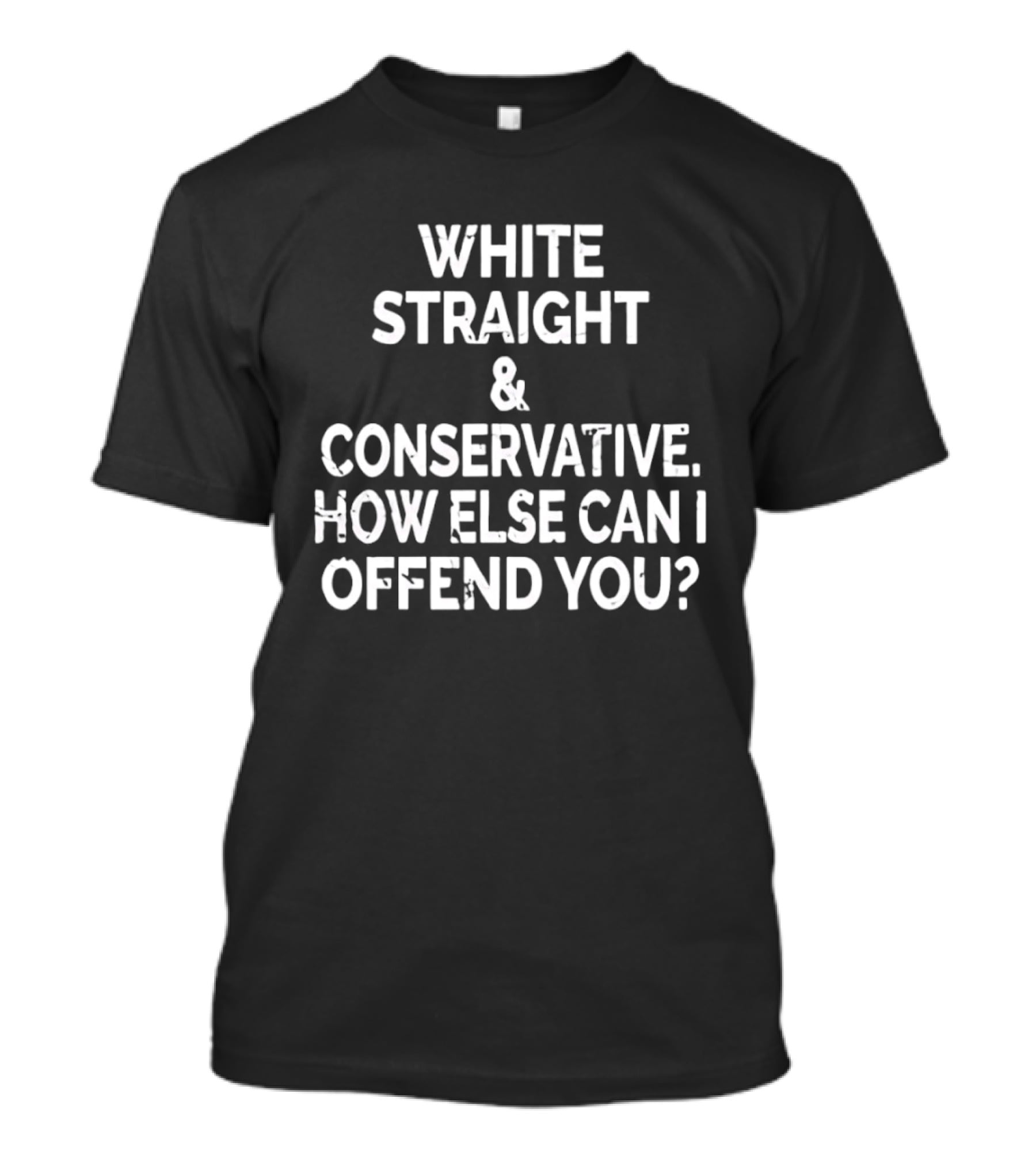 White Straight Conservative How Else Can I Offend You T-Shirt
