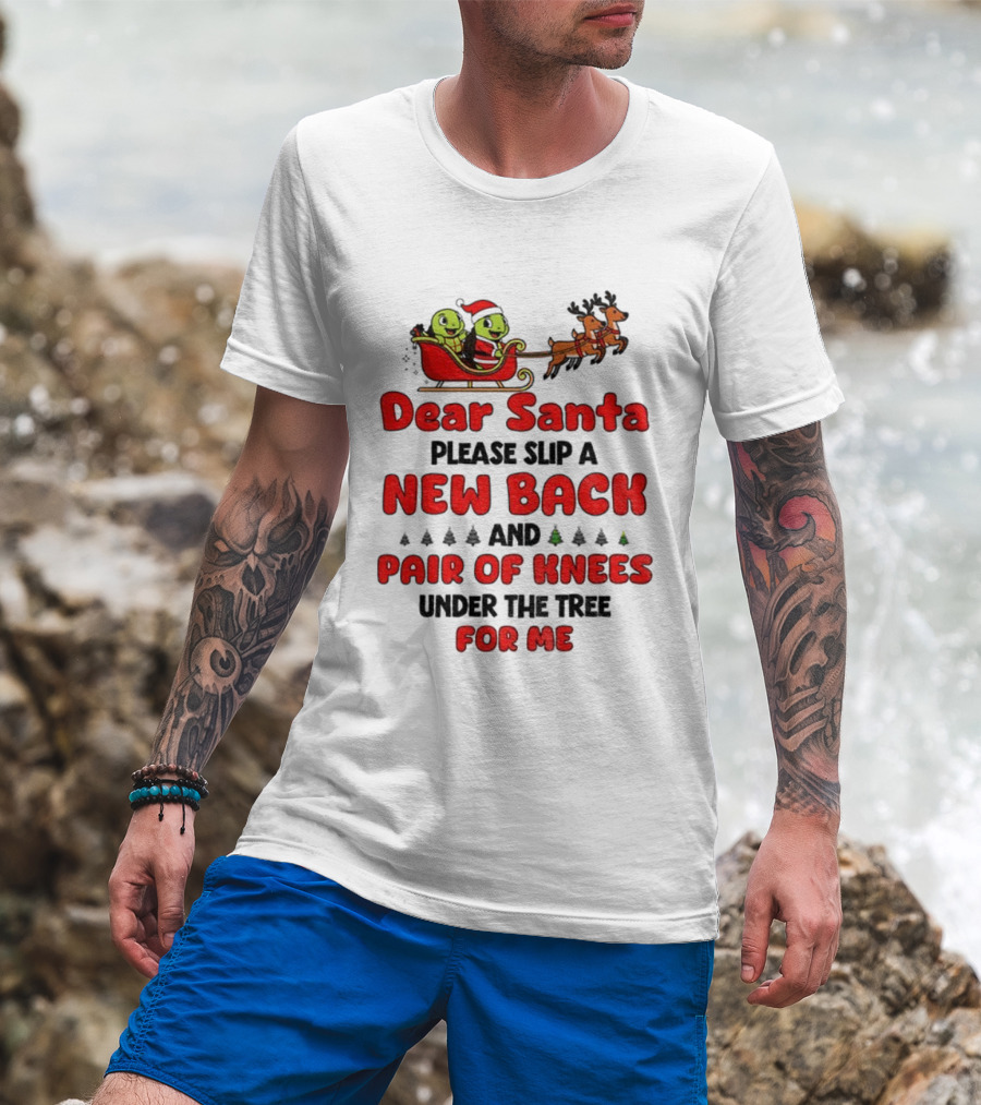 Dear Santa New Back Pair Of Knees Holiday Turtle Sleigh T-Shirt