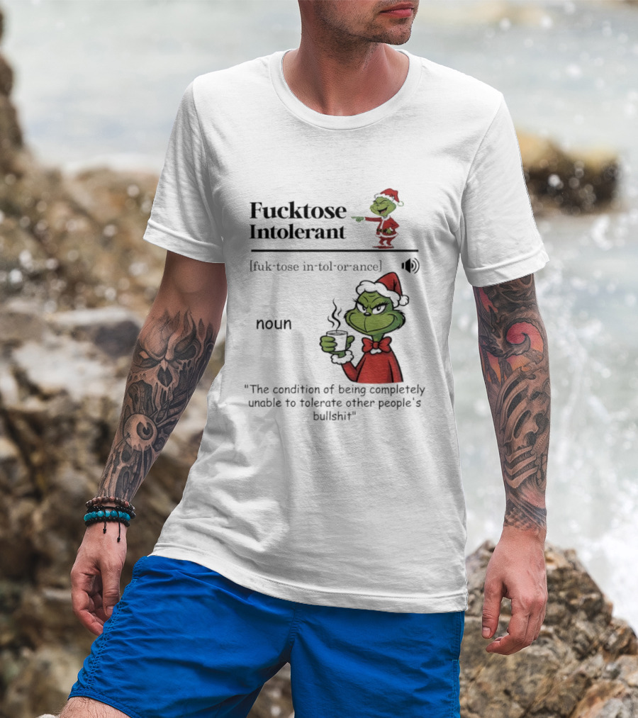 Grinch Christmas Fucktose Intolerant Definition Noun Statement T-Shirt
