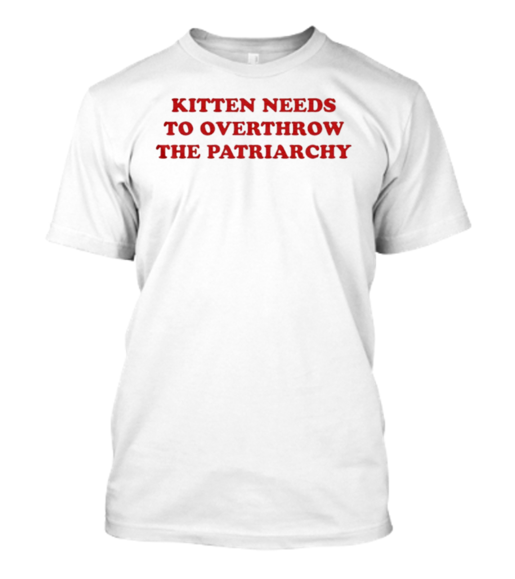 Kitten Needs To Overthrow The Patriarchy T-Shirt