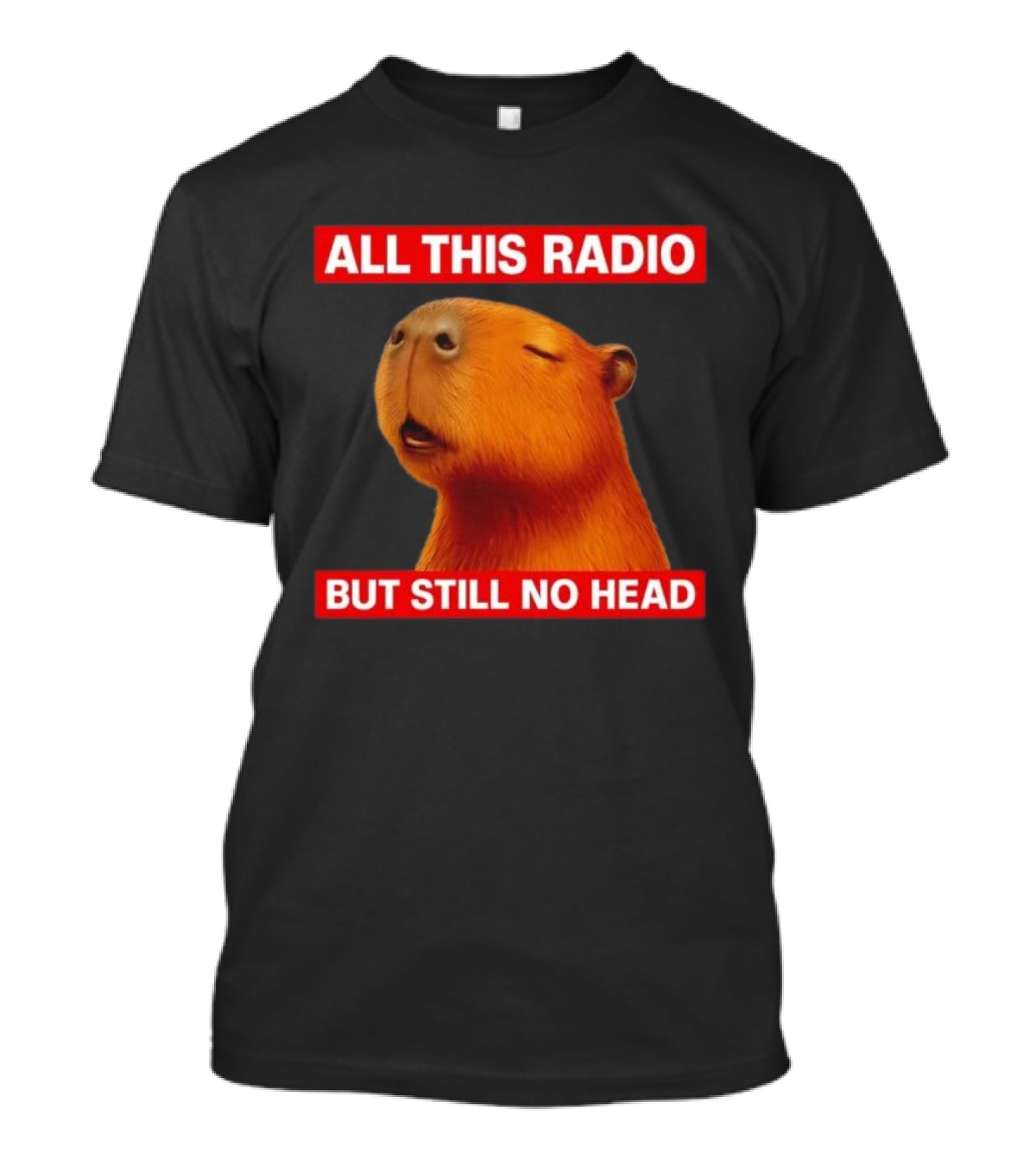 All This Radio But Still No Head Capybara T-Shirt