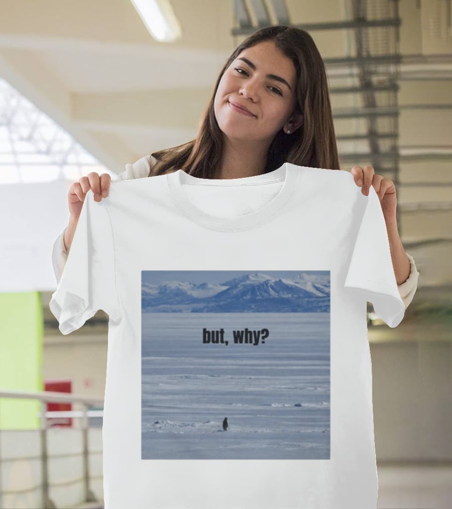 But Why Penguin On Ice With Mountain T-Shirt