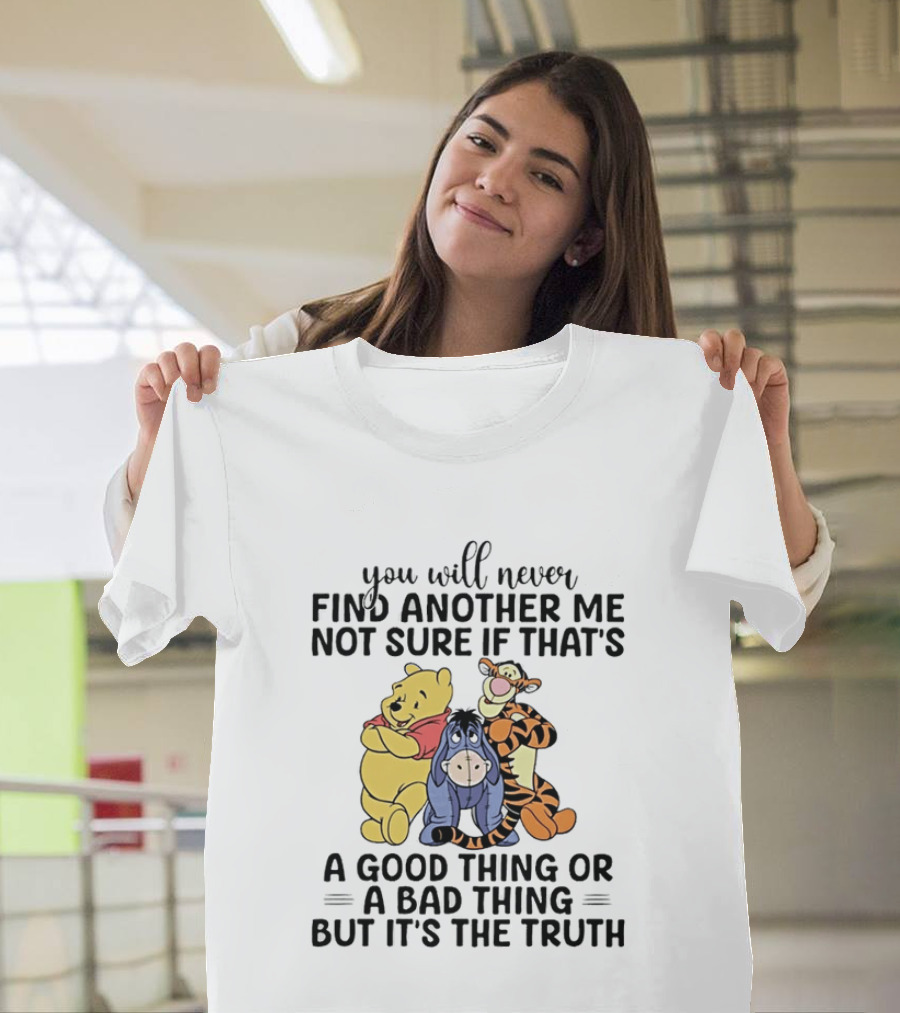 Winnie The Pooh Eeyore Tigger You Will Never Find Another Me Not Sure If That's A Good Thing Or A Bad Thing But It's The Truth T-Shirt