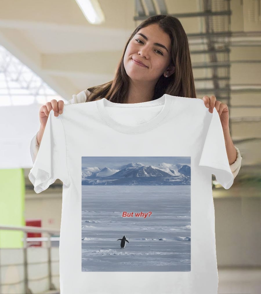 But Why Penguin Nihilist Scenic Antarctic Mountains T-Shirt