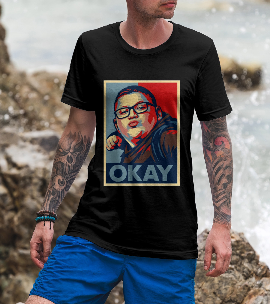 Okay Punch Kid Meme T-Shirt