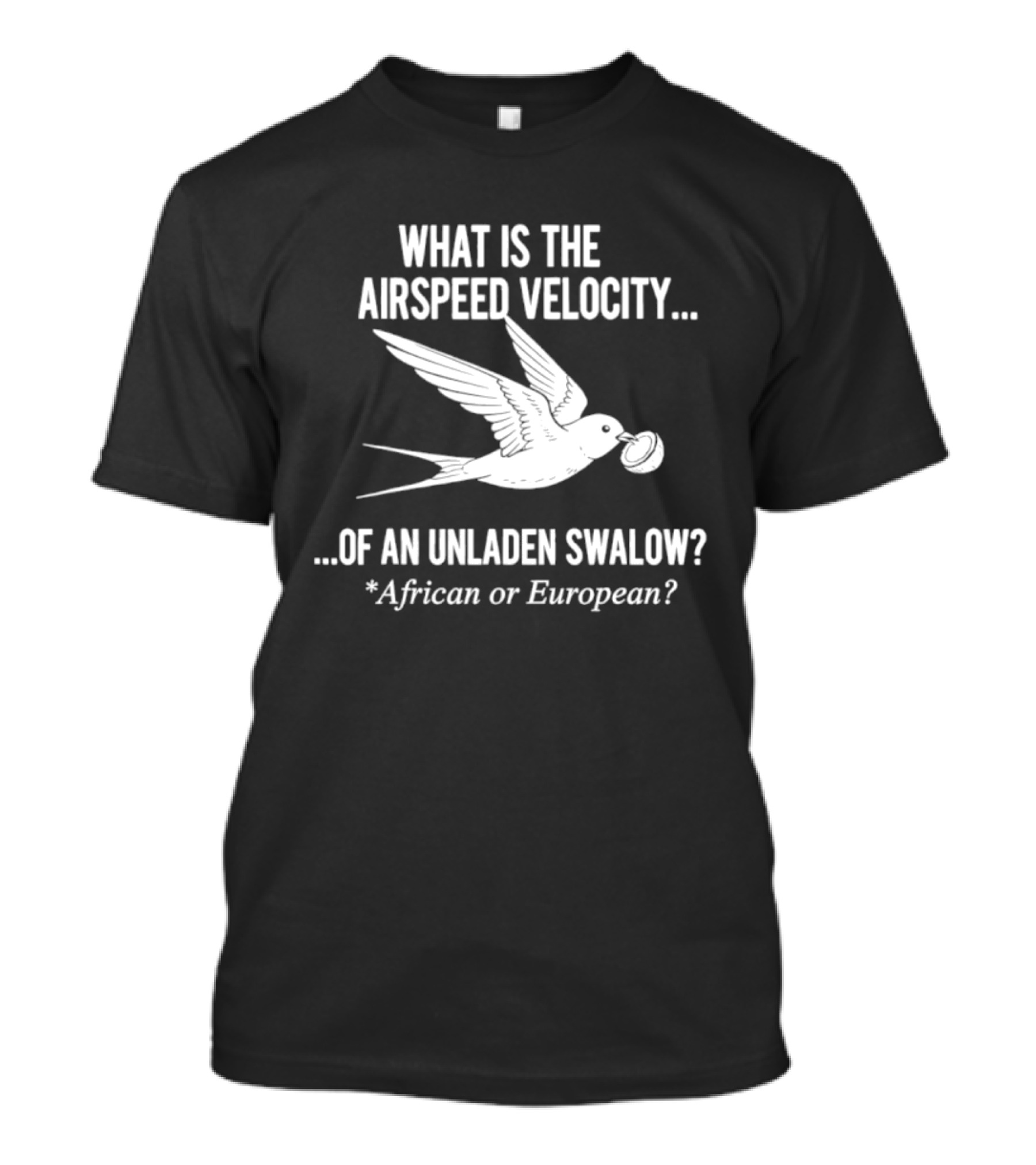 What Is The Airspeed Velocity Of An Unladen Swallow African Or European T-Shirt
