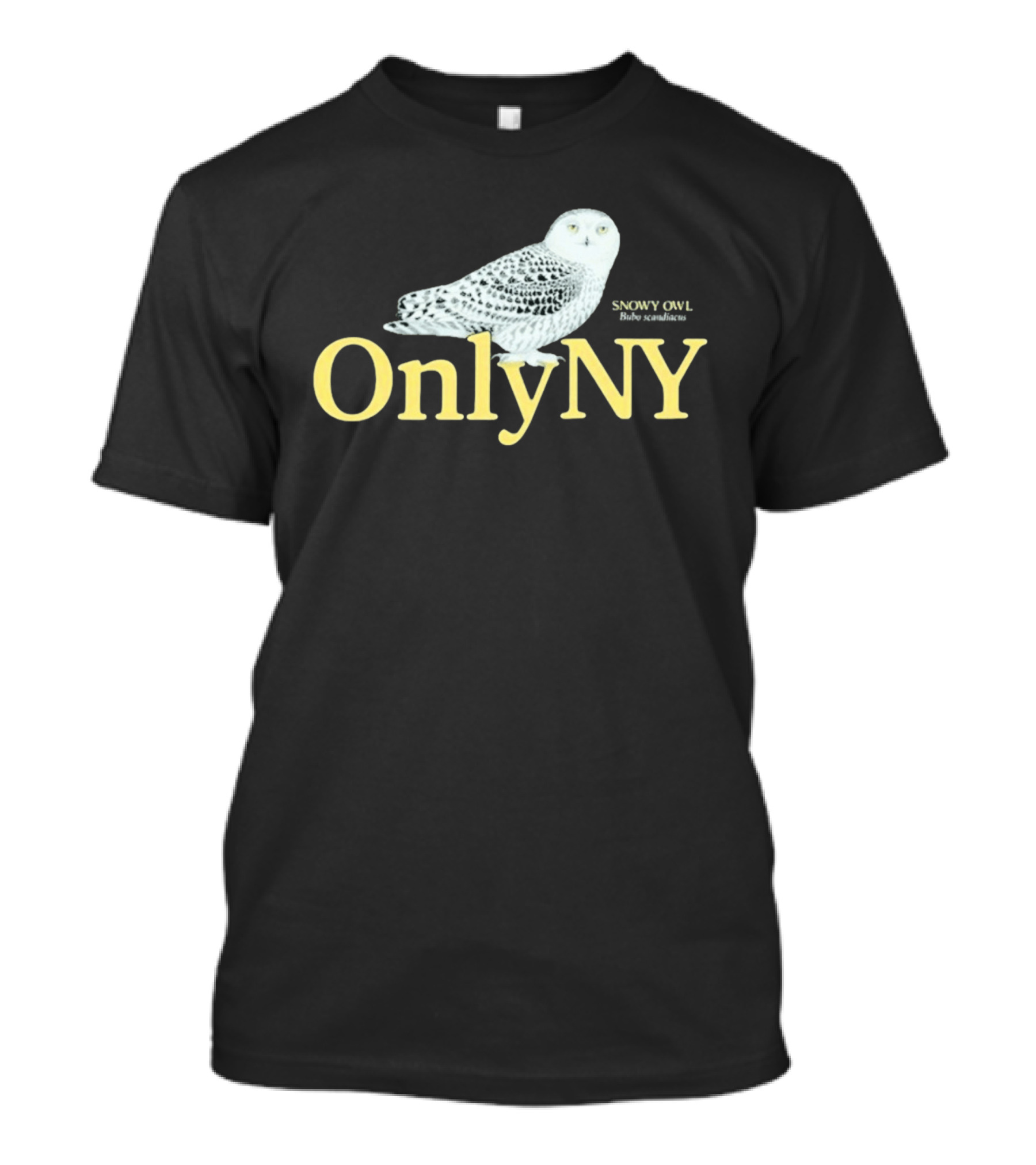Only NY Snowy Owl Wild Manhattan T-Shirt