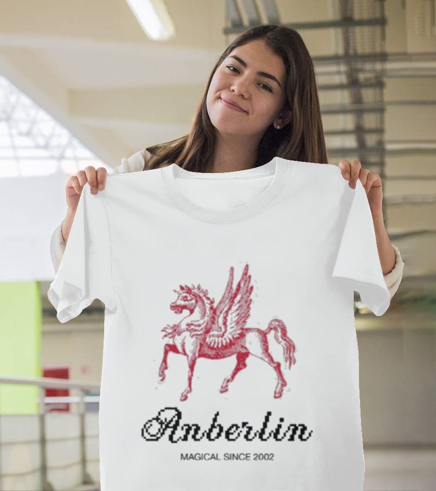 Anberlin Magical Since 2002 Winged Horse T-Shirt