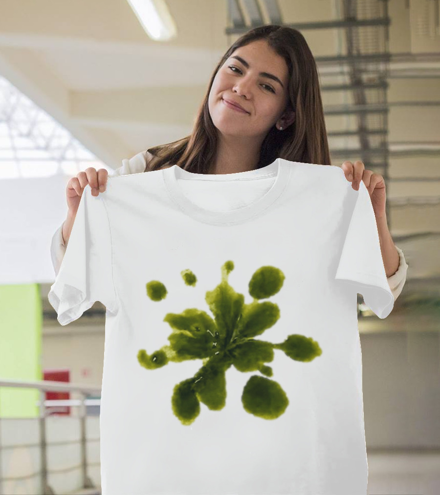 Weather Tomorrow May 4 2026 T-Shirt