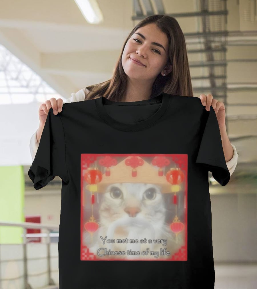 You Met Me At A Very Chinese Time Of My Life Cat Lanterns Hat T-Shirt