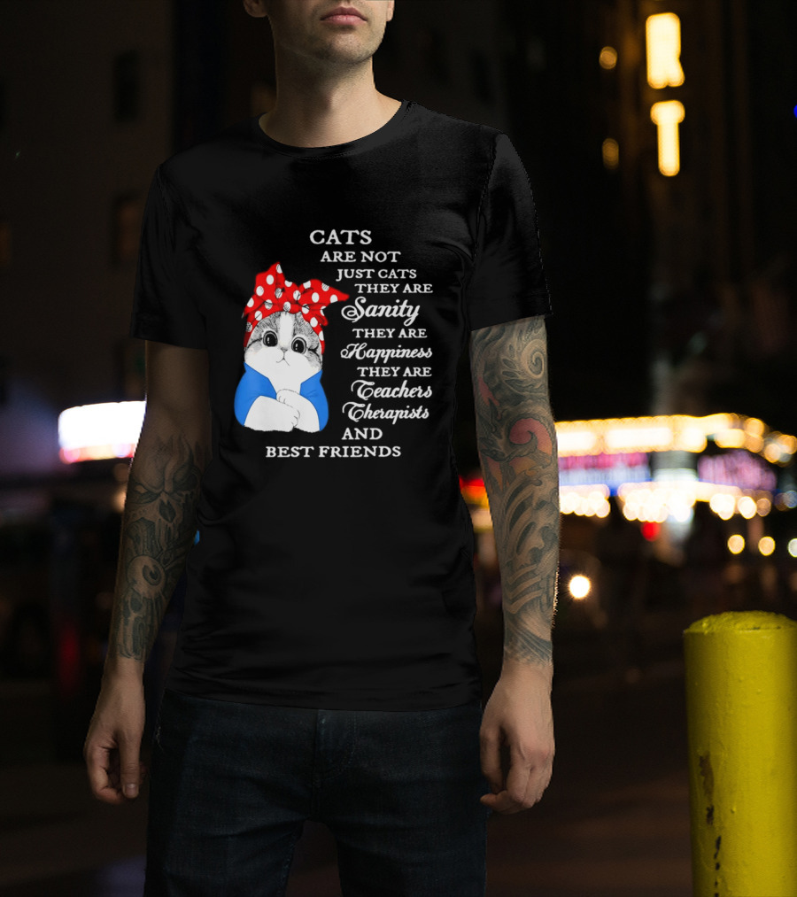 Cats Are Not Just Cats They Are Sanity Happiness Teachers Therapists Best Friends T-Shirt