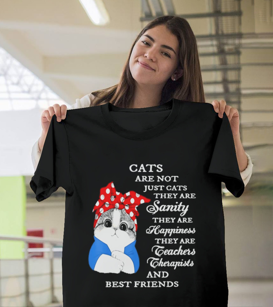 Cats Are Not Just Cats They Are Sanity Happiness Teachers Therapists Best Friends T-Shirt