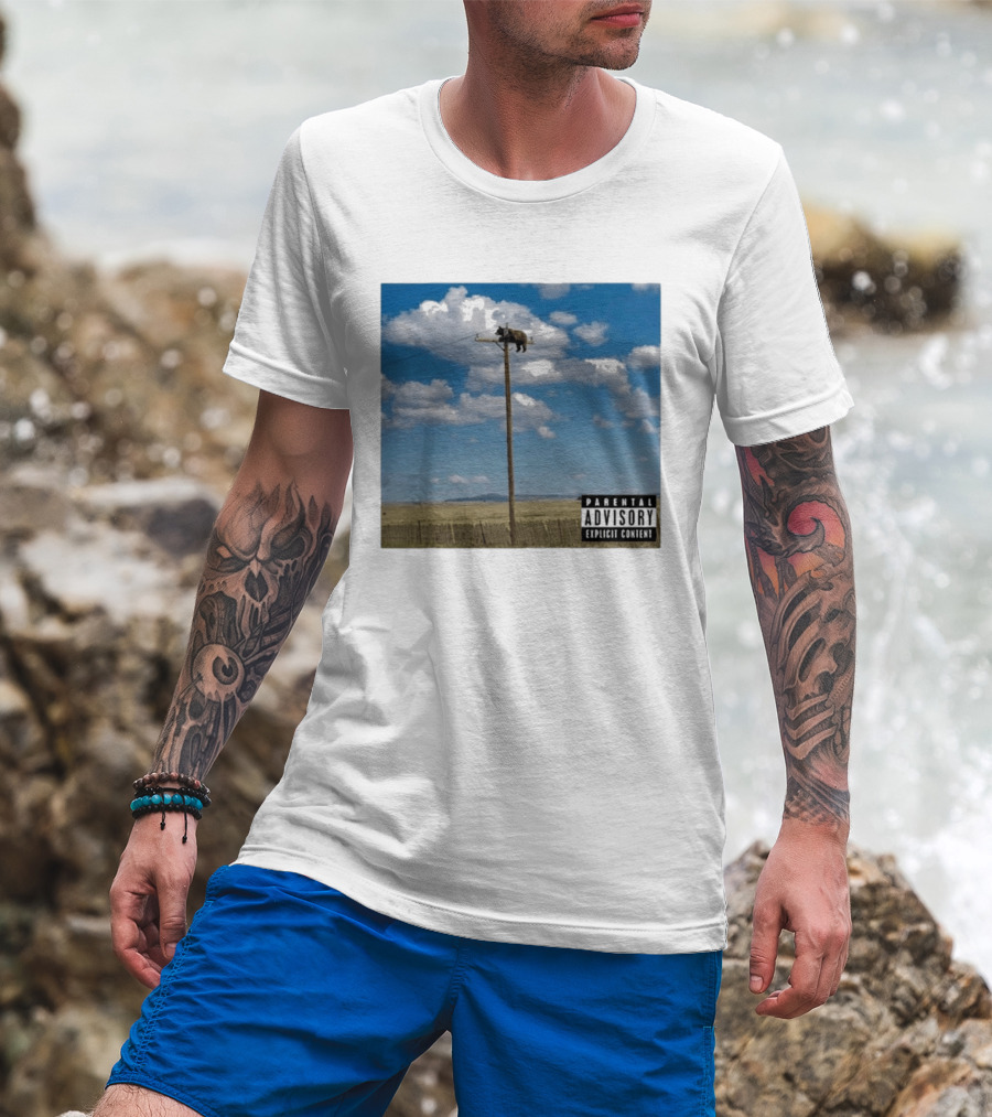 Bear On Top Of The Light Pole Parental Advisory Explicit Content Clouds Sky T-Shirt