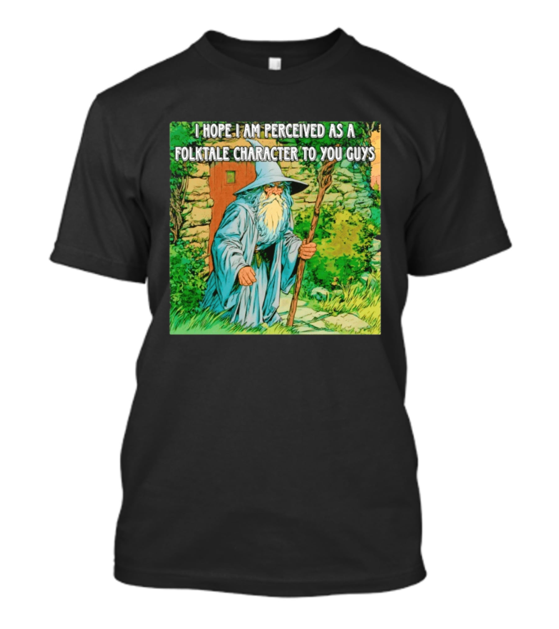 I Hope I Am Perceived As A Folktale Character To You Guys Wizard T-Shirt
