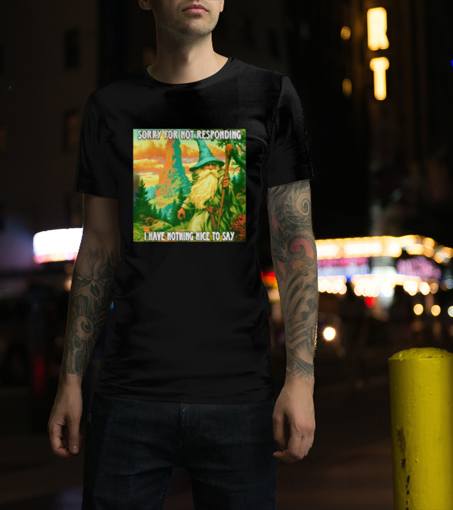 Sorry For Not Responding I Have Nothing Nice To Say Wizard Scene T-Shirt