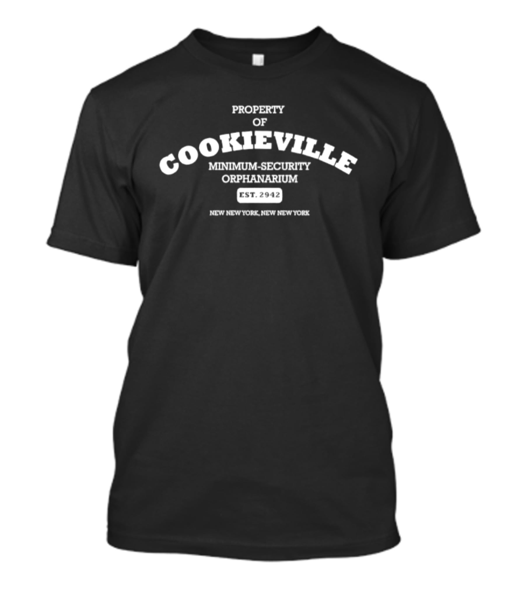 Property Of Cookieville Minimum Security Orphanarium Est 2942 NY New York T-Shirt