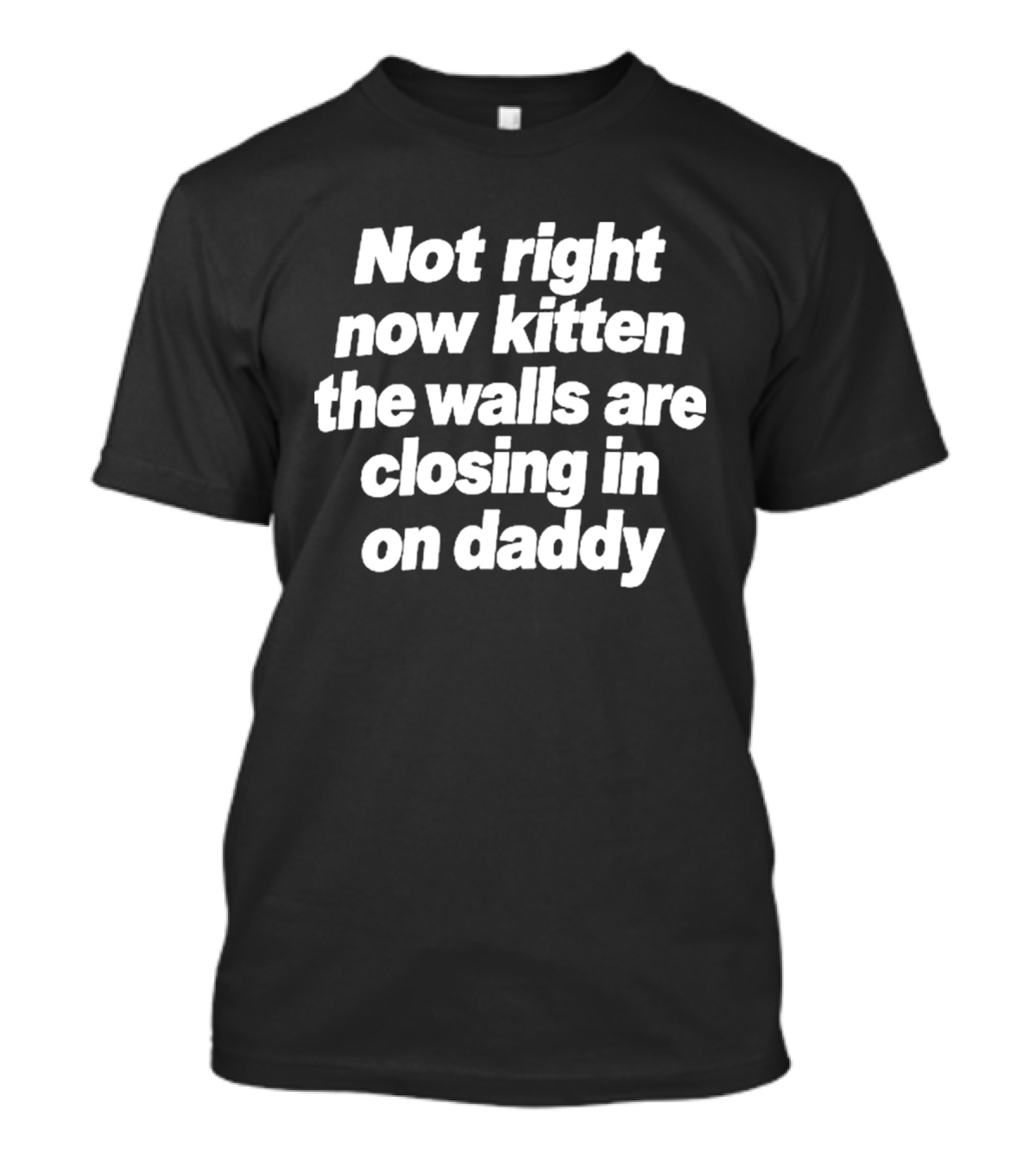 Not Right Now Kitten The Walls Are Closing In On Daddy Funny Meme T-Shirt