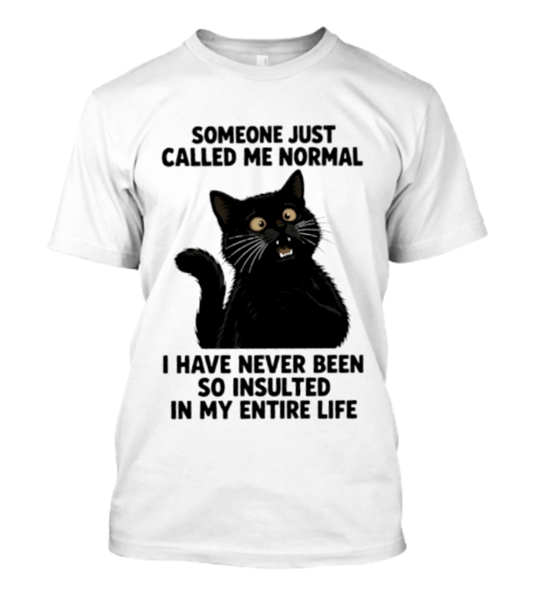 Someone Just Called Me Normal Black Cat Humor Never Been So Insulted In My Entire Life T-Shirt