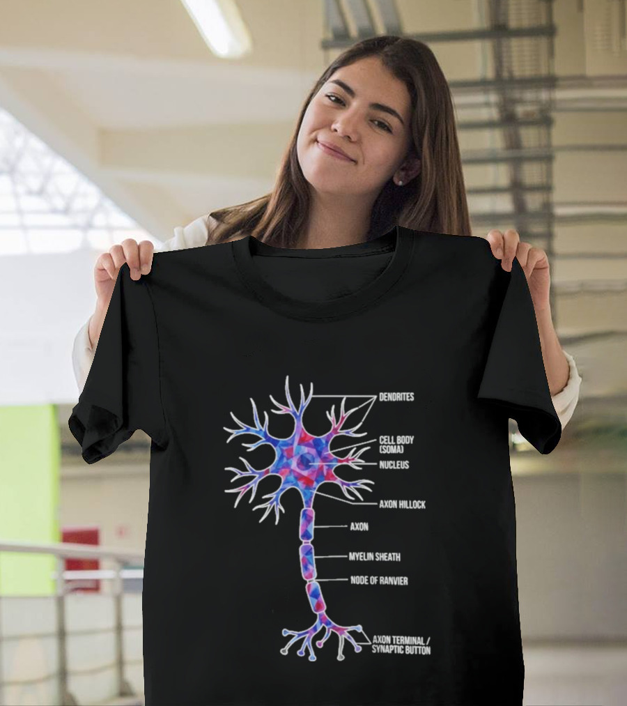 Dendrites Cell Body Soma Nucleus Axon Hillock Axon Myelin Sheath Node Of Ranvier Axon Terminal Synaptic Bouton T-Shirt