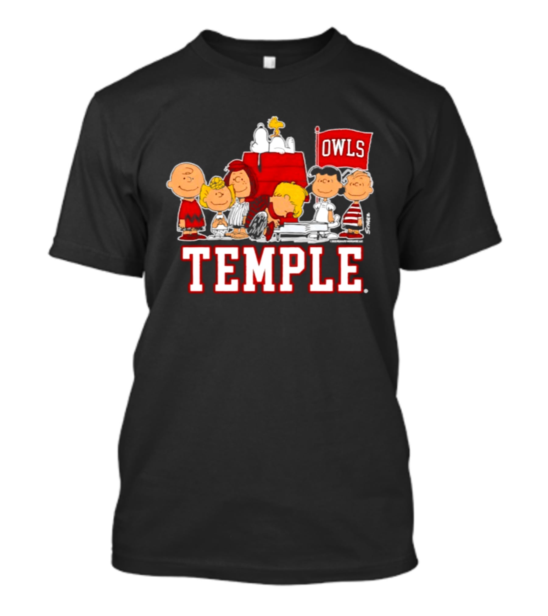 Peanuts Snoopy Temple Owls Football Lucy Charlie Brown Woodstock T-Shirt