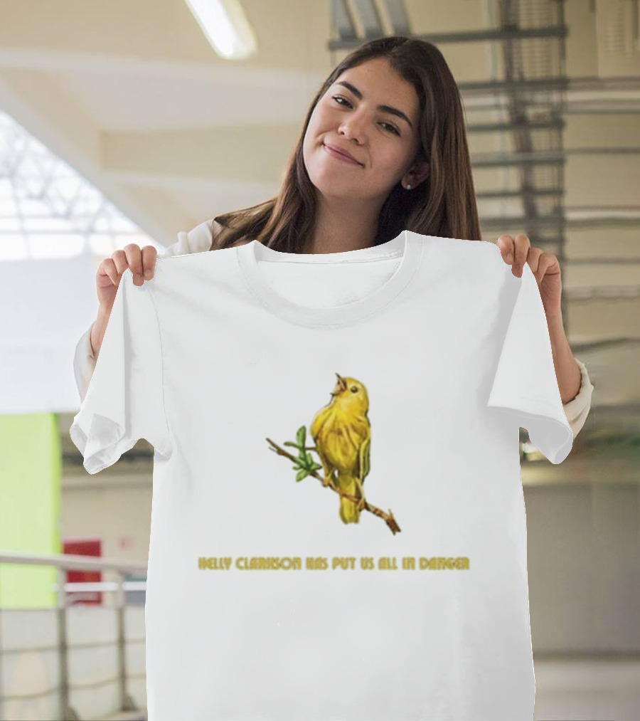 Kelly Clarkson Has Put Us All In Danger Molly Bird T-Shirt