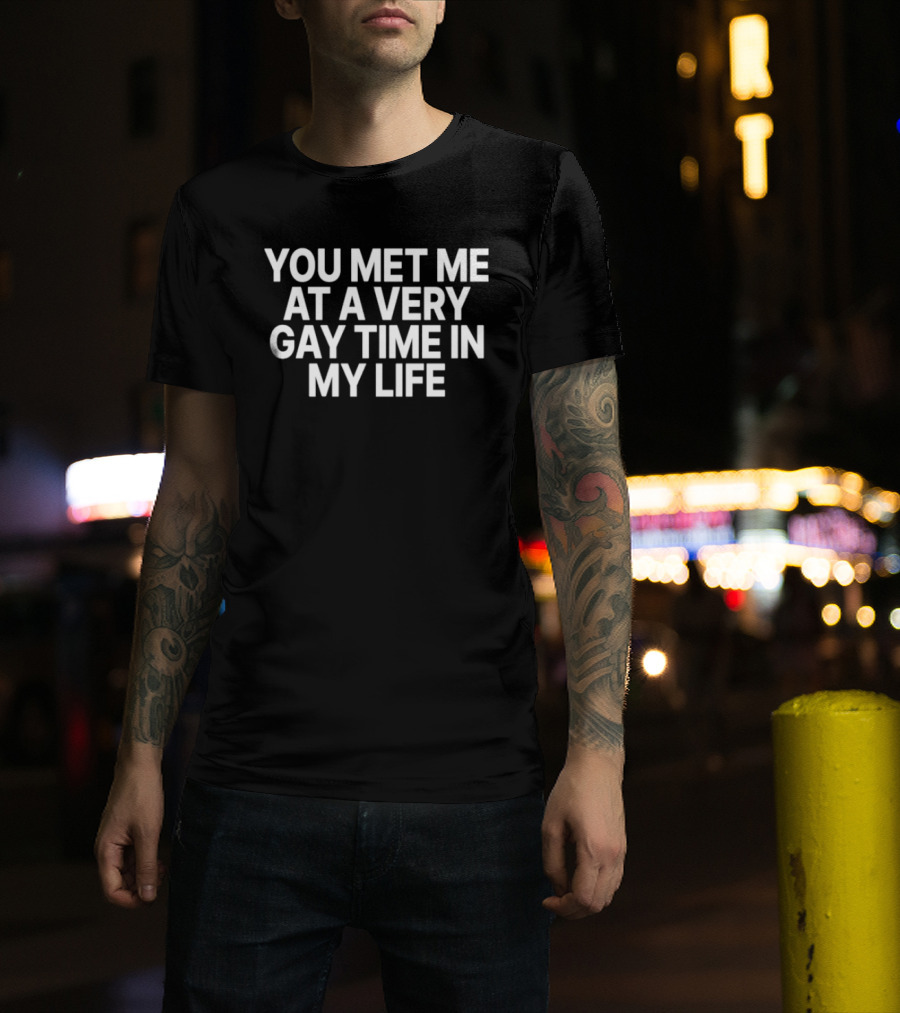 You Met Me At A Very Gay Time In My Life T-Shirt