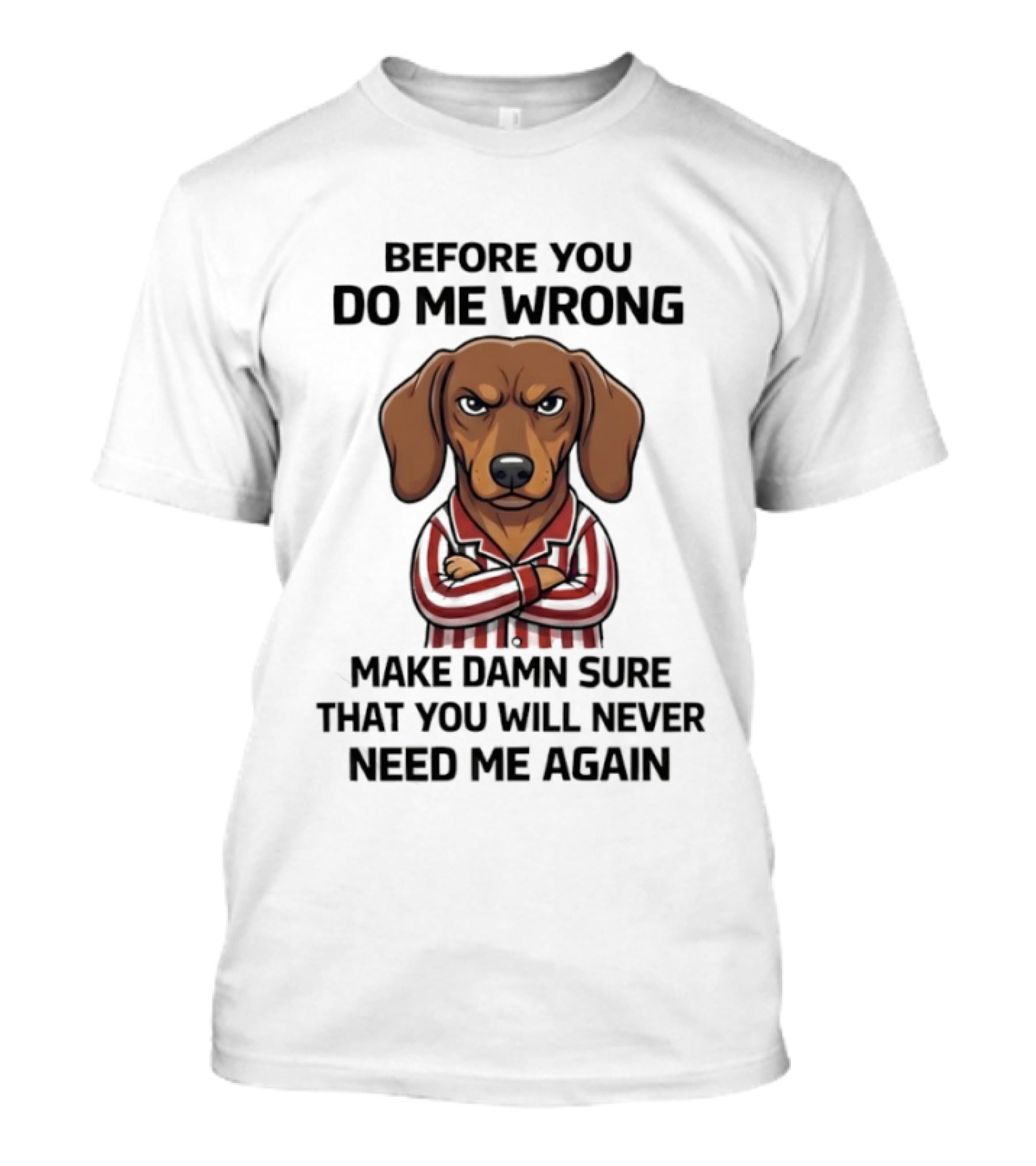 Grumpy Dog Before You Do Me Wrong Make Damn Sure You Will Never Need Me Again T-Shirt