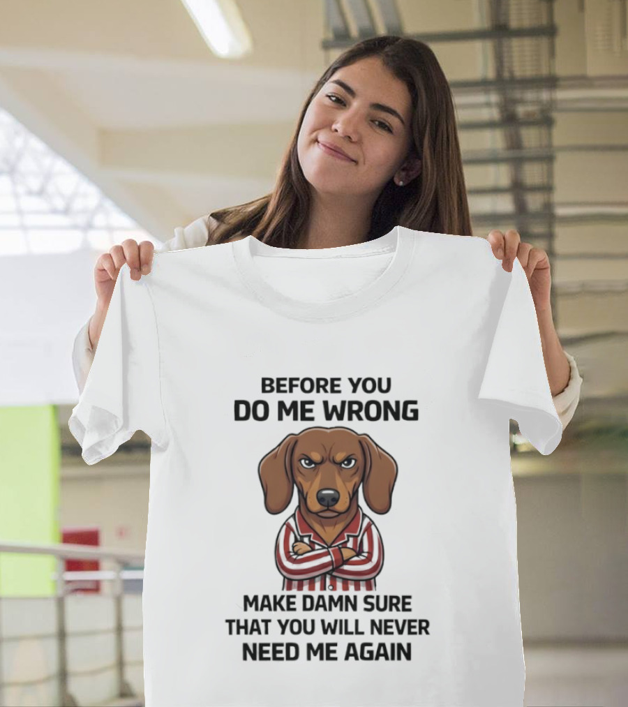 Grumpy Dog Before You Do Me Wrong Make Damn Sure You Will Never Need Me Again T-Shirt