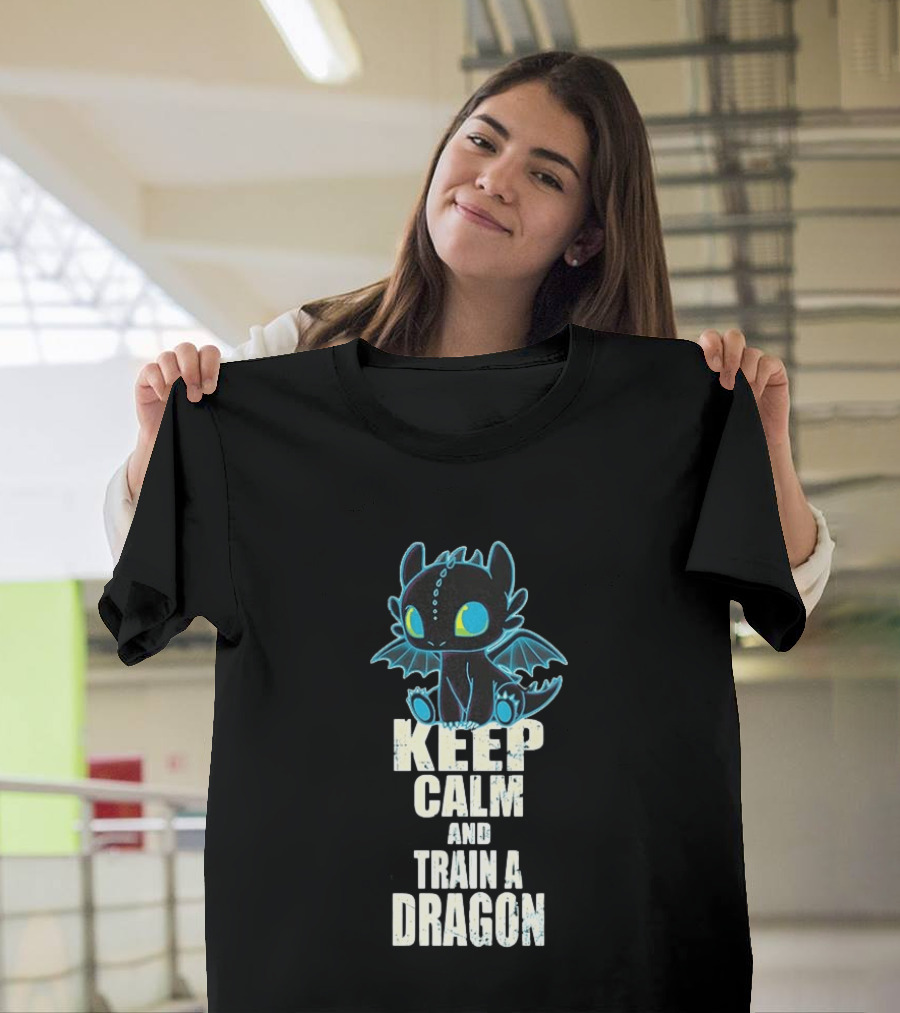 Keep Calm And Train A Dragon Toothless How To Train Your Dragon Cartoon T-Shirt