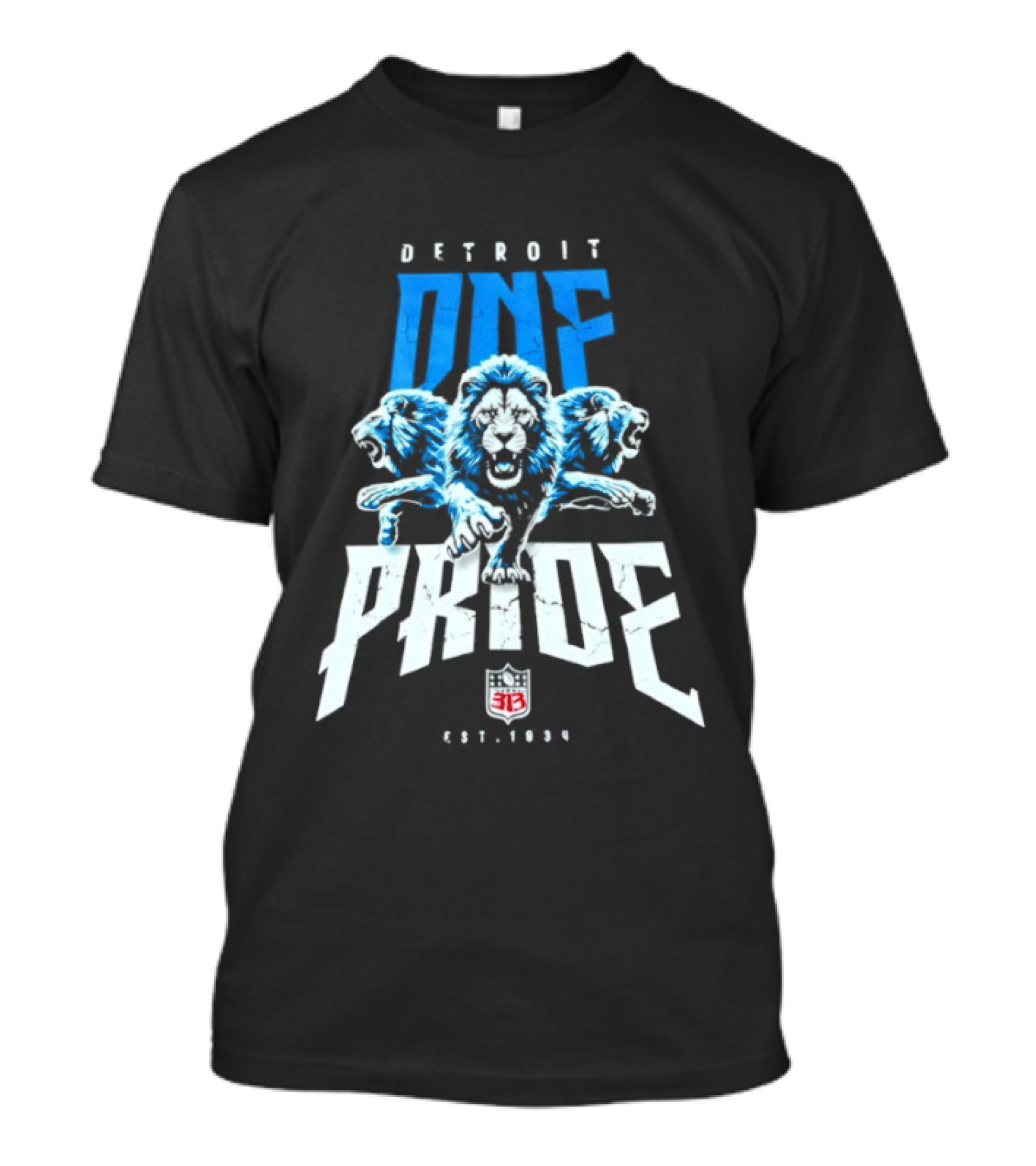 Detroit One Pride 313 Lions Est 1930 T-Shirt