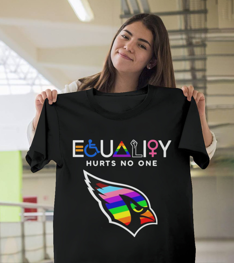 Arizona Cardinals Pride Equality Hurts No One Inclusive Message T-Shirt