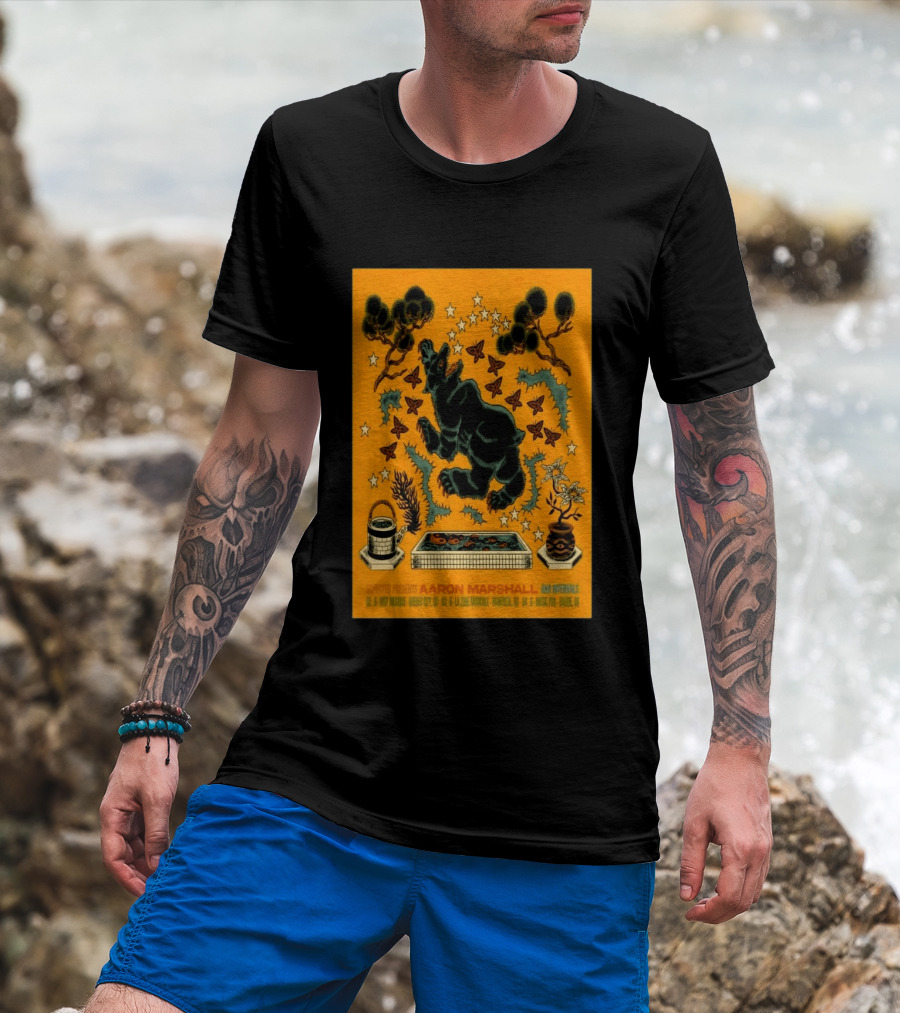 Aaron Marshall Intervals 2026 Canadian Clinic Tour Quebec City Montreal Barrie T-Shirt