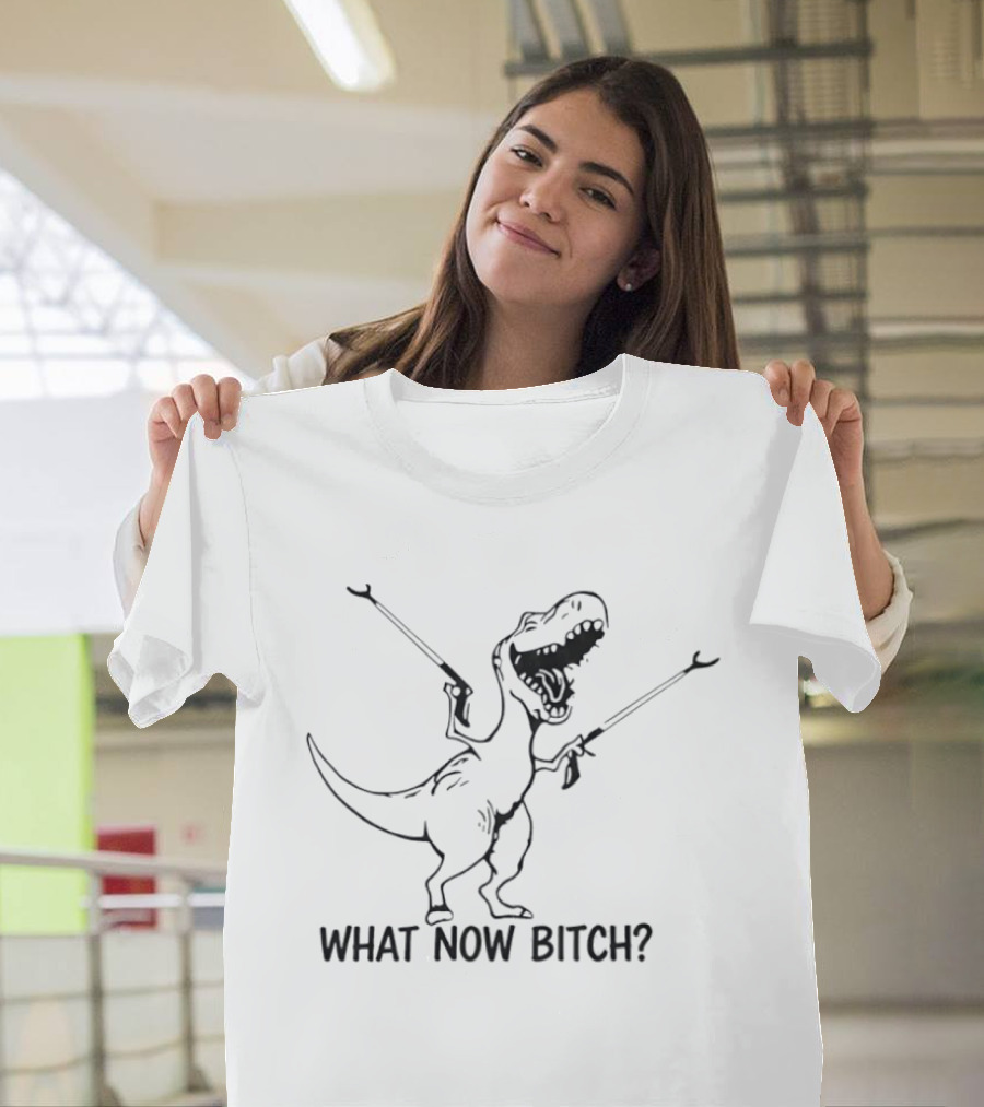 Dinosaur What Now B*tch Funny Rex Sketch With Guns T-Shirt
