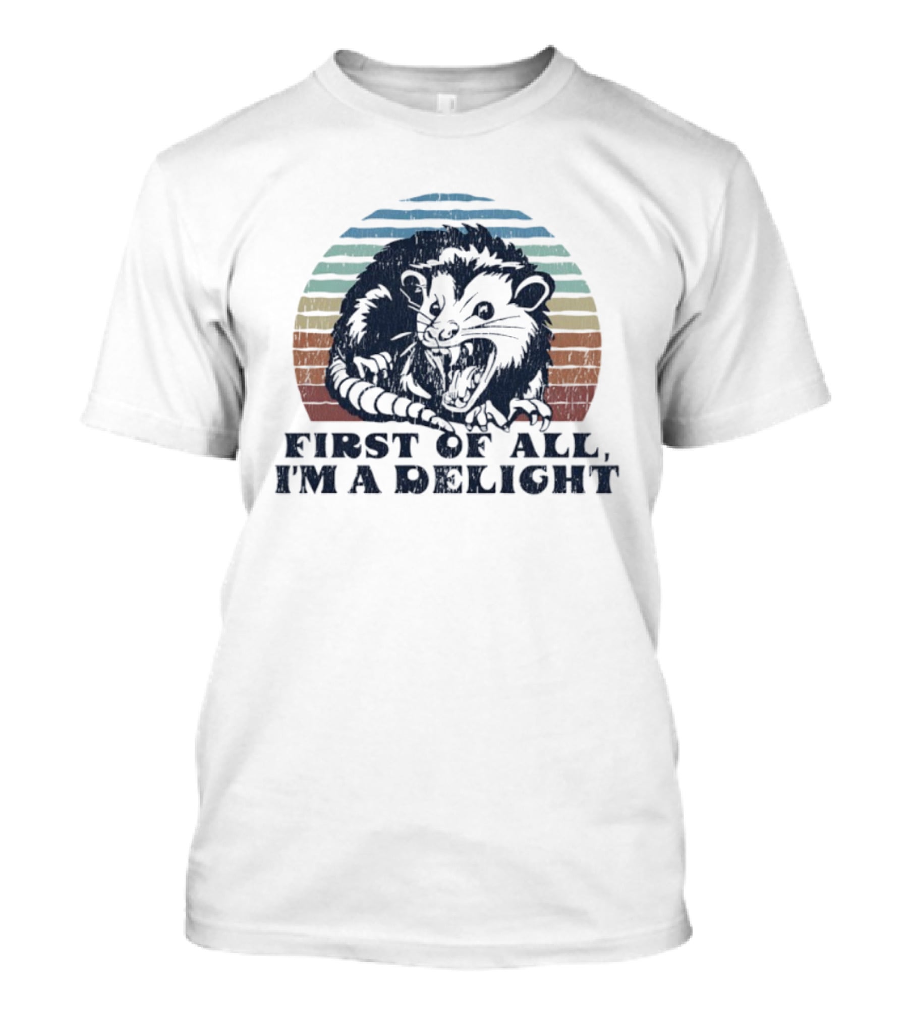Grumpy Possum First Of All I'm A Delight Retro Vintage Style Stripes T-Shirt