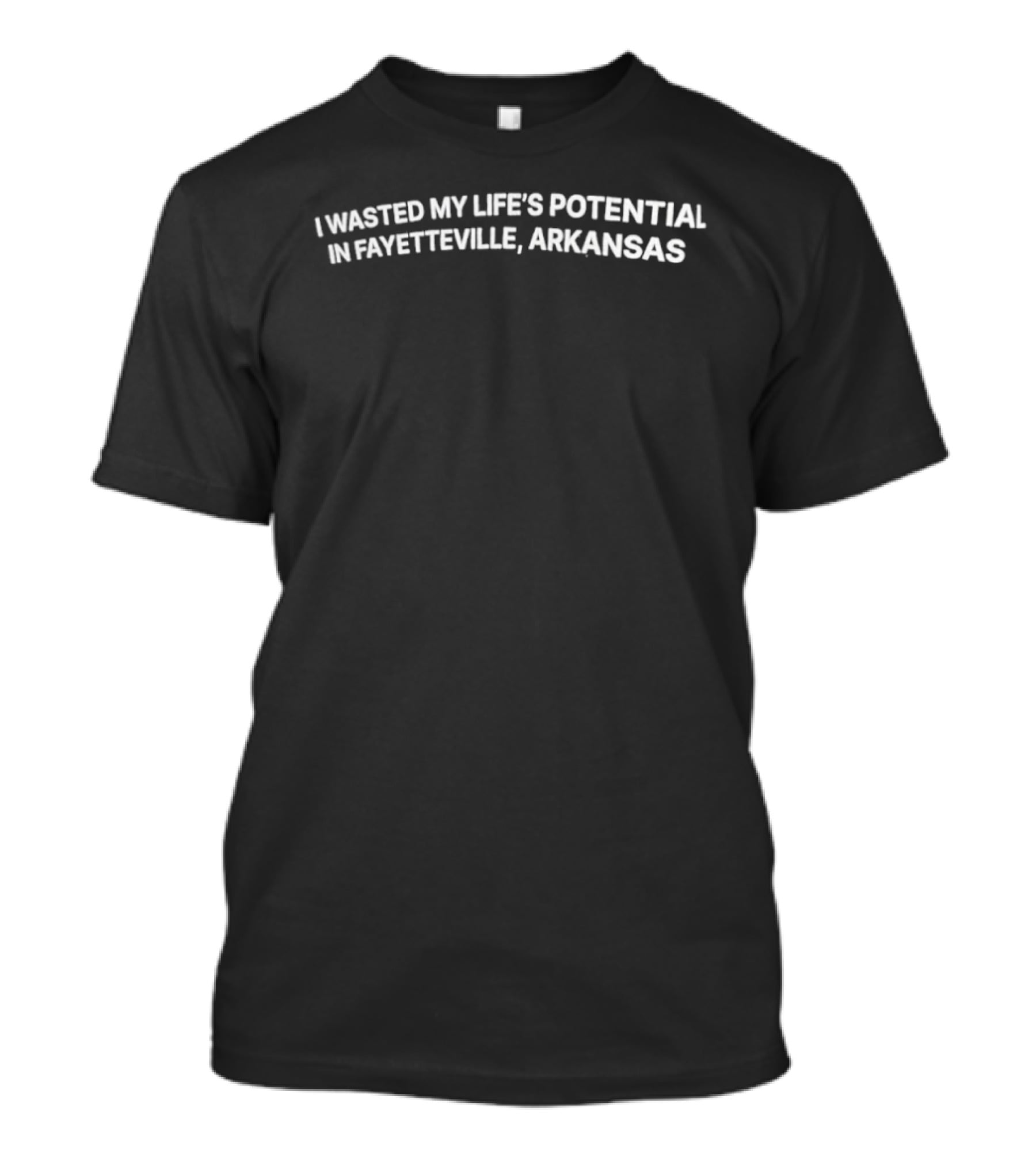 I Wasted My Life's Potential In Fayetteville Arkansas T-Shirt