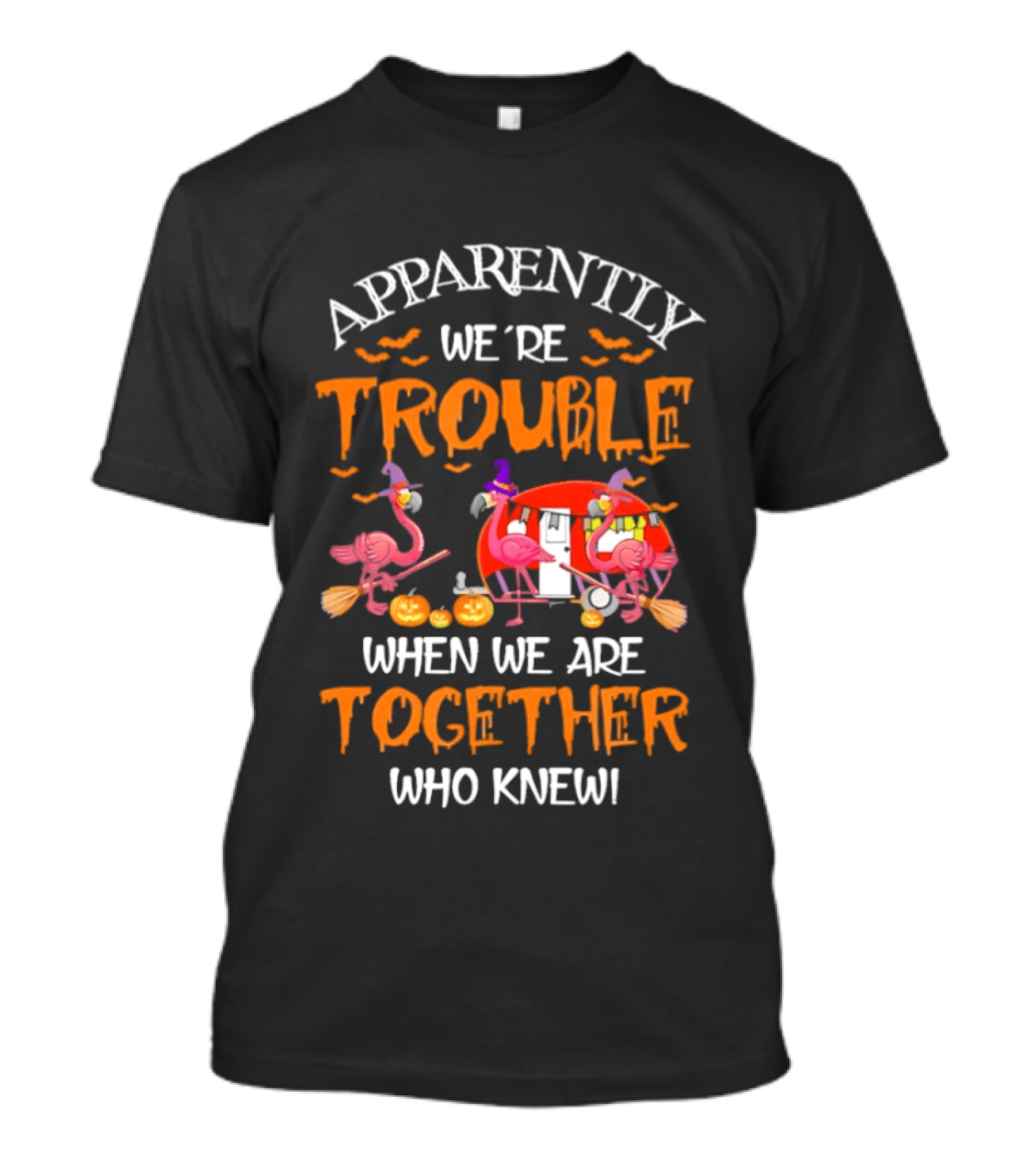 Apparently We're Trouble Flamingos Halloween Together Who Knew T-Shirt