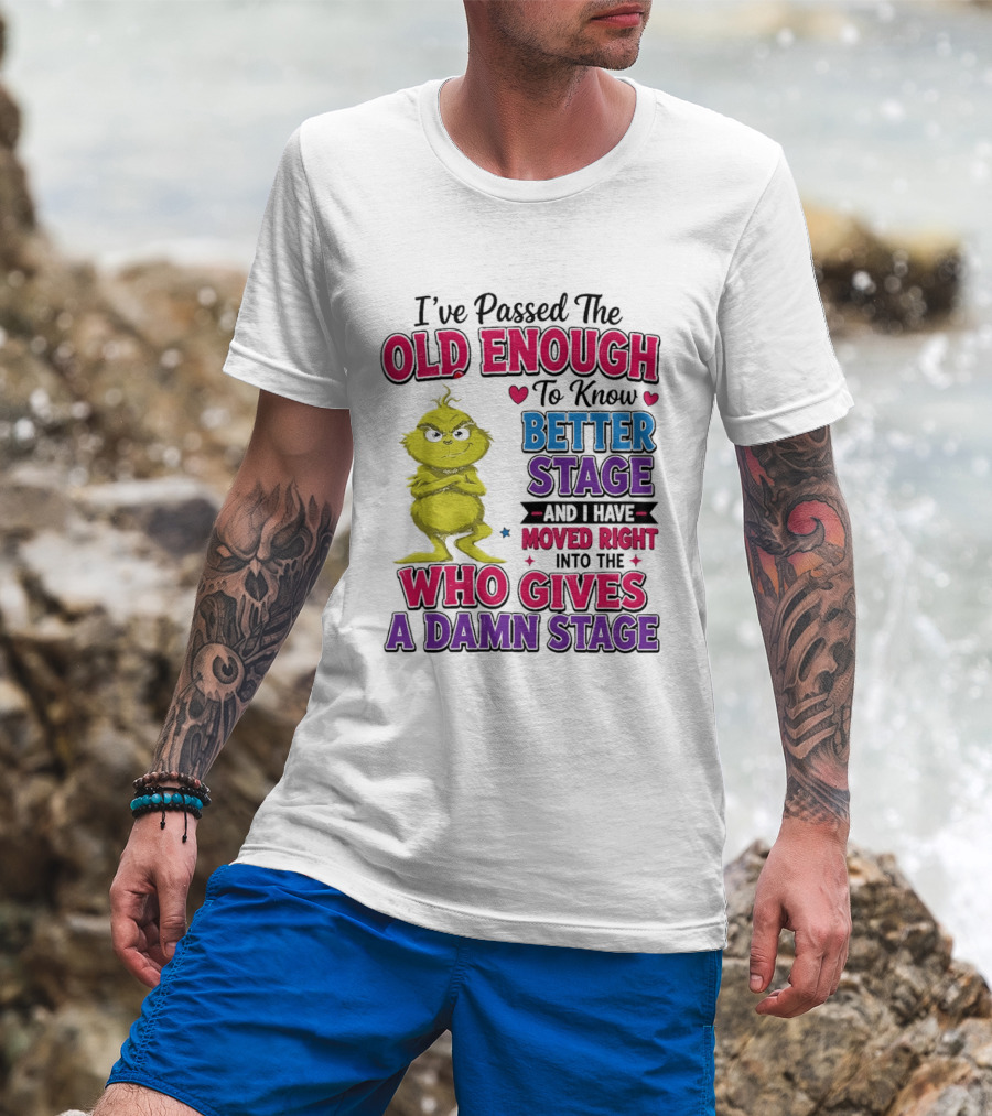 Passed The Old Enough To Know Better Moved Right Into The Who Gives A Damn Stage T-Shirt