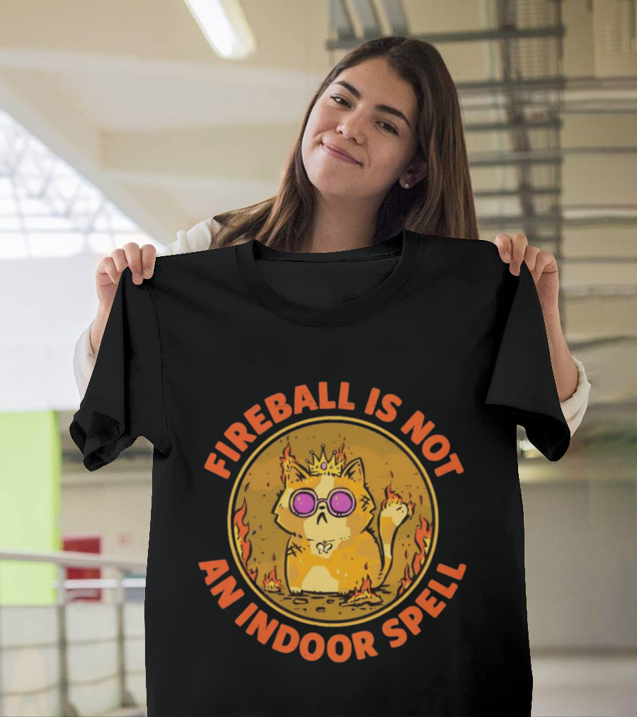 Princess Donut Fireball Is Not An Indoor Spell Dungeon Crawler Carl T-Shirt